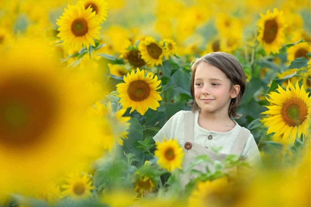 image comparison after