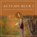 Autumn soft-focus background you can paint in to reduce distractions and highlight the subject.