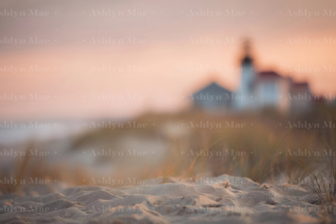 Beach-themed digital photography backdrops with sandy paths, grassy dunes, and ocean views at golden hour