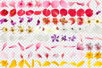 Flower Petal Overlays for Photographers