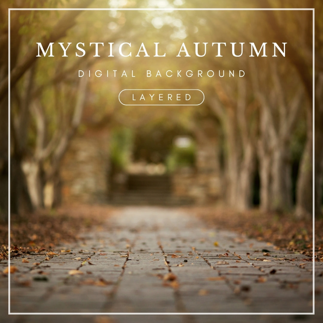 Digital background of a cobblestone walkway covered in fallen autumn leaves, framed by bare trees and stone steps, ideal for fall photo composites.