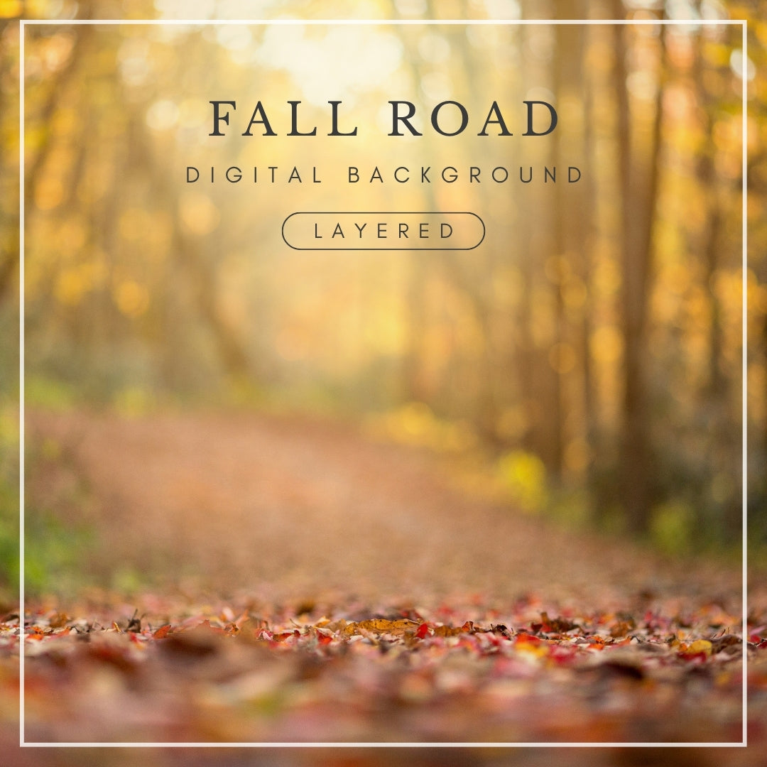 Digital background of a forest path covered in fallen autumn leaves with golden trees and soft sunlight, perfect for fall photo composites.