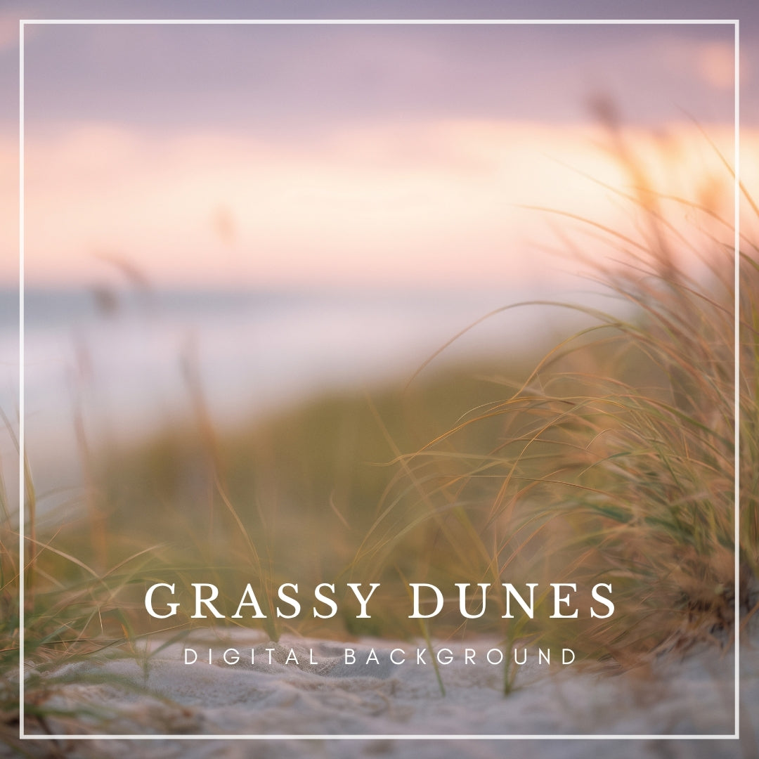 Soft-focus coastal beach path with windswept dune grass at sunset, inspired by Cape Cod, Outer Banks, and Nantucket scenery.