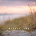 Soft-focus coastal beach path with windswept dune grass at sunset, inspired by Cape Cod, Outer Banks, and Nantucket scenery.