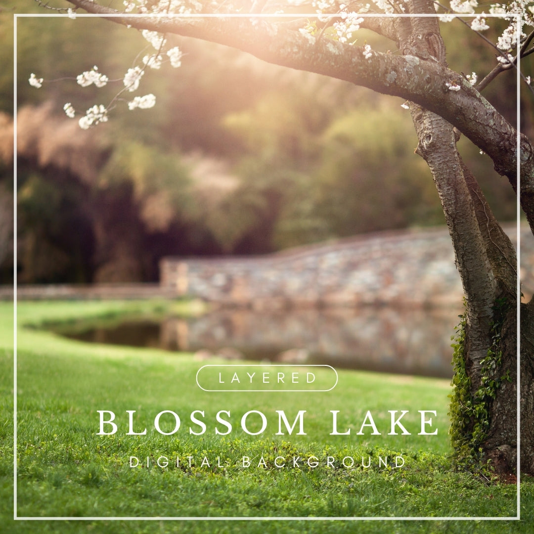 Digital background of a blossoming tree beside a calm lake with soft sunlight and a stone bridge, ideal for spring photo composites.