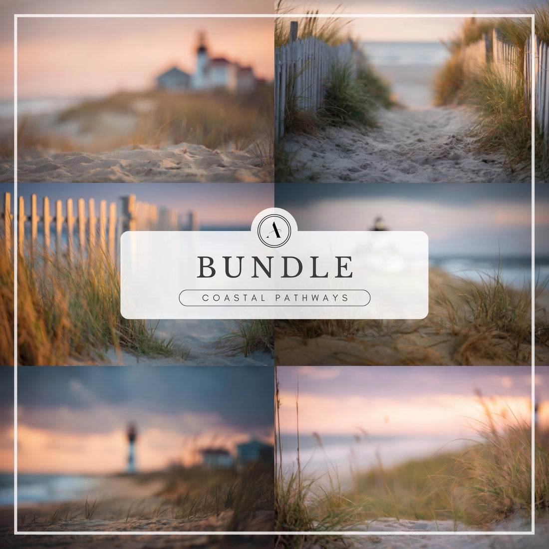 Beach-themed digital photography backdrops with sandy paths, grassy dunes, and ocean views at golden hour