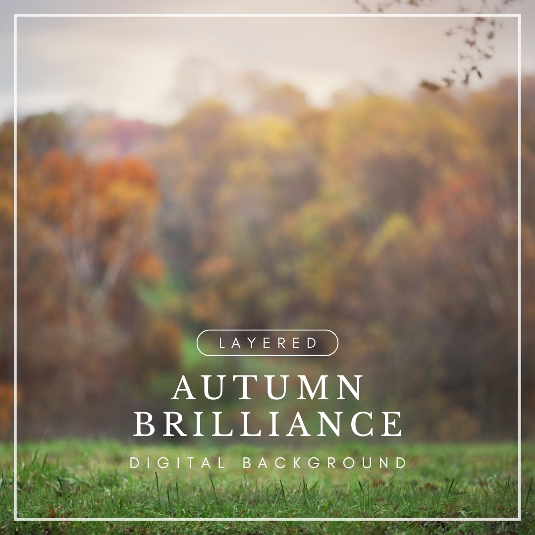 Digital background of a grassy foreground with blurred autumn trees in warm fall colors and a soft sky, perfect for seasonal photo composites.