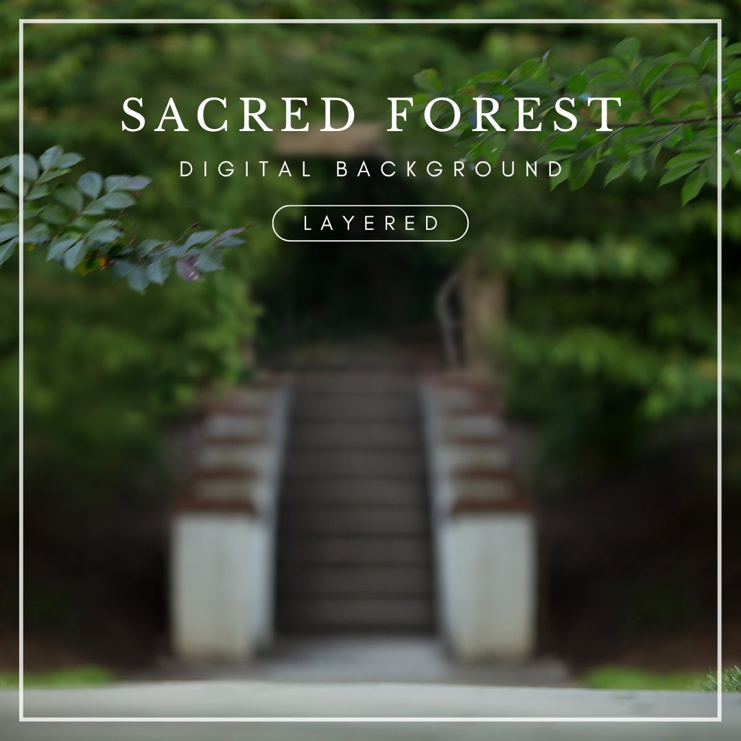 Layered digital background of a stone forest staircase framed by leafy green trees, perfect for magical, woodland, or fantasy photo composites.