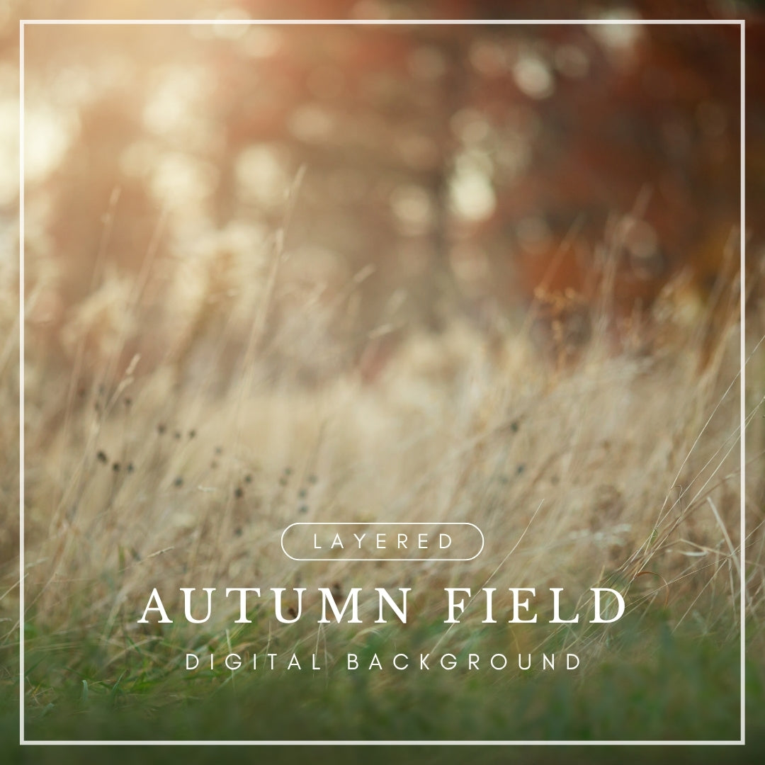 Digital background of a golden grassy autumn field with soft-focus fall leaves and warm sunlight, perfect for seasonal photo composites.