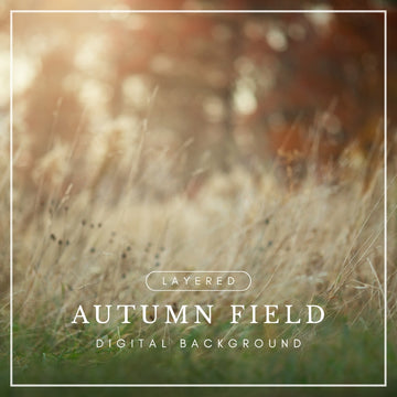 Digital background of a golden grassy autumn field with soft-focus fall leaves and warm sunlight, perfect for seasonal photo composites.