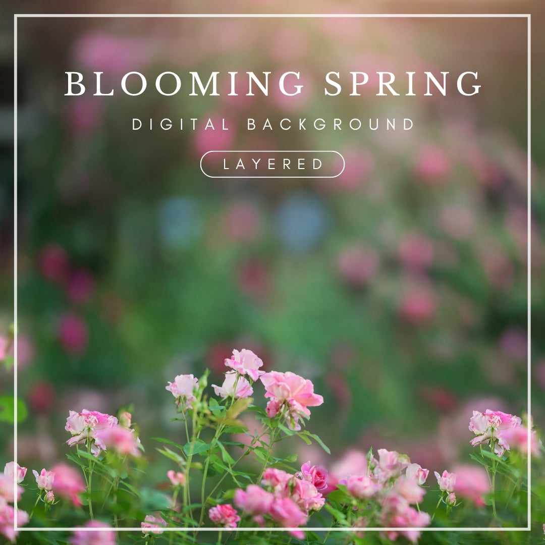 Layered digital background of soft pink wild roses in a lush green garden with blurred floral tones, ideal for spring photo composites.