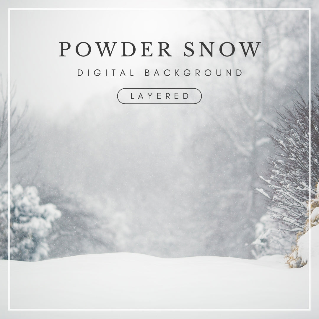 Digital background of a snowy winter landscape with falling snow, snowbanks, and frosted trees, ideal for holiday portraits and winter composites.