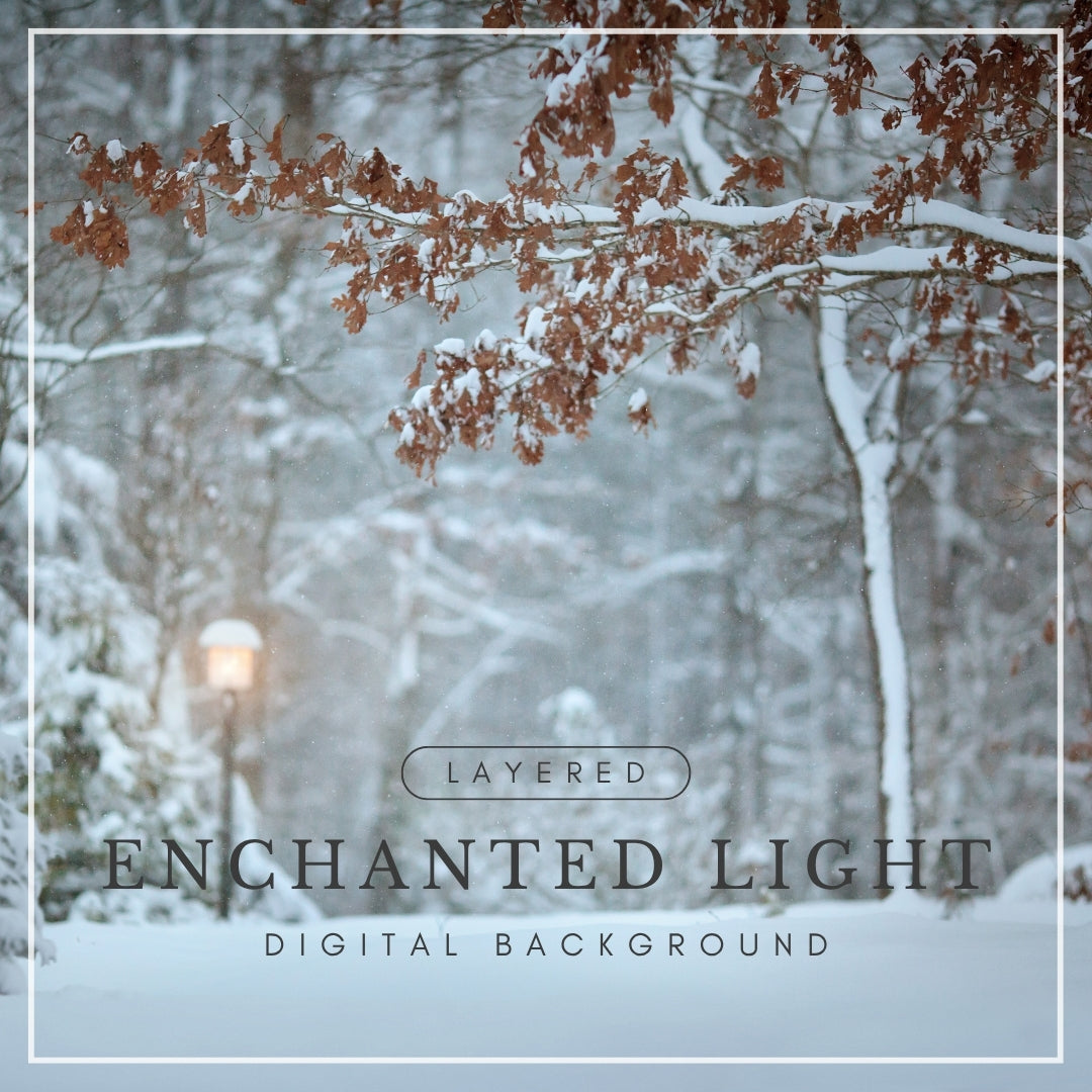 Digital background of a snowy forest path with a glowing lamppost and snow-covered branches, ideal for winter photo composites and magical scenes.