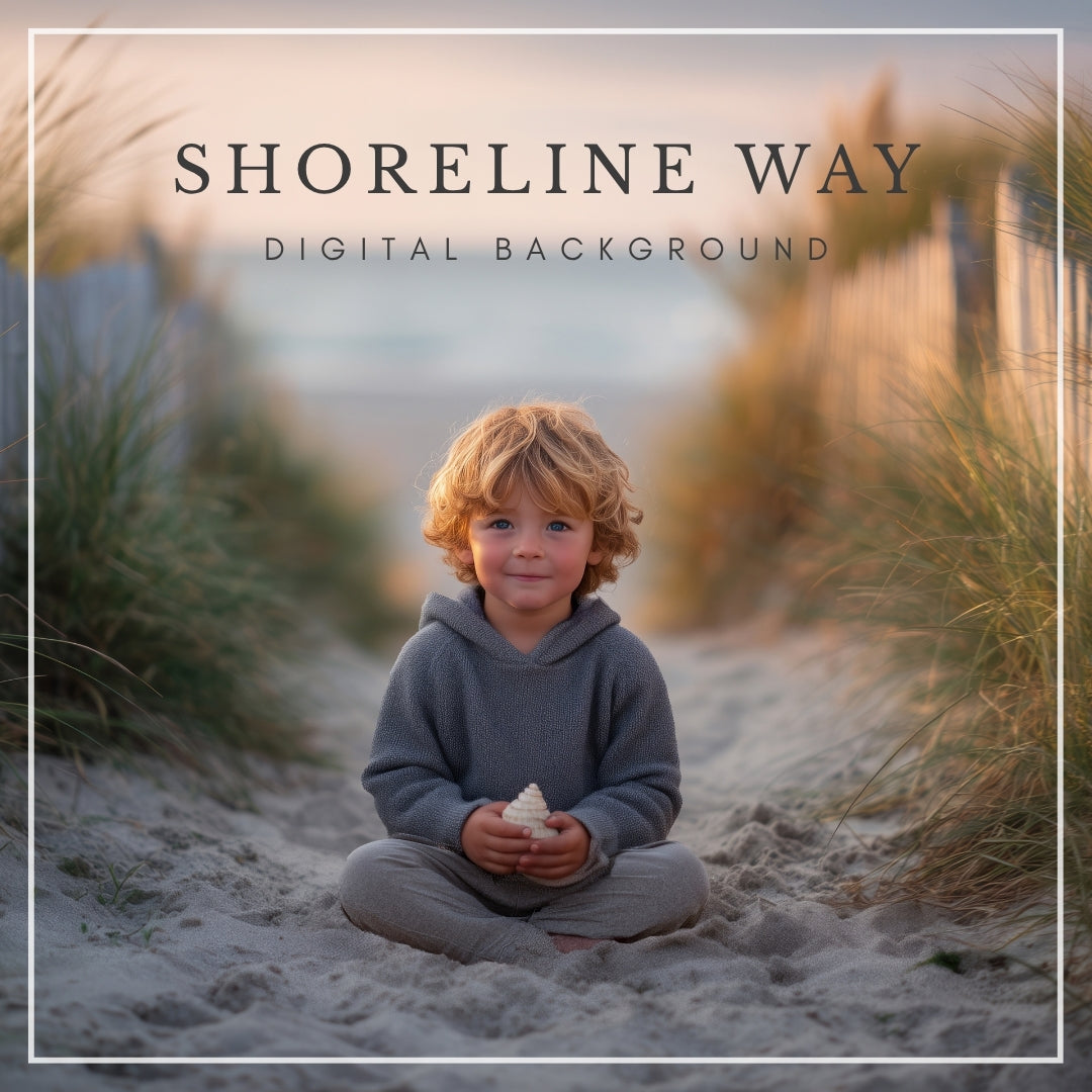 Digital backdrop of a sandy beach pathway with tall grass and a wooden fence leading to the ocean, inspired by Cape Cod and Outer Banks coastal scenes.