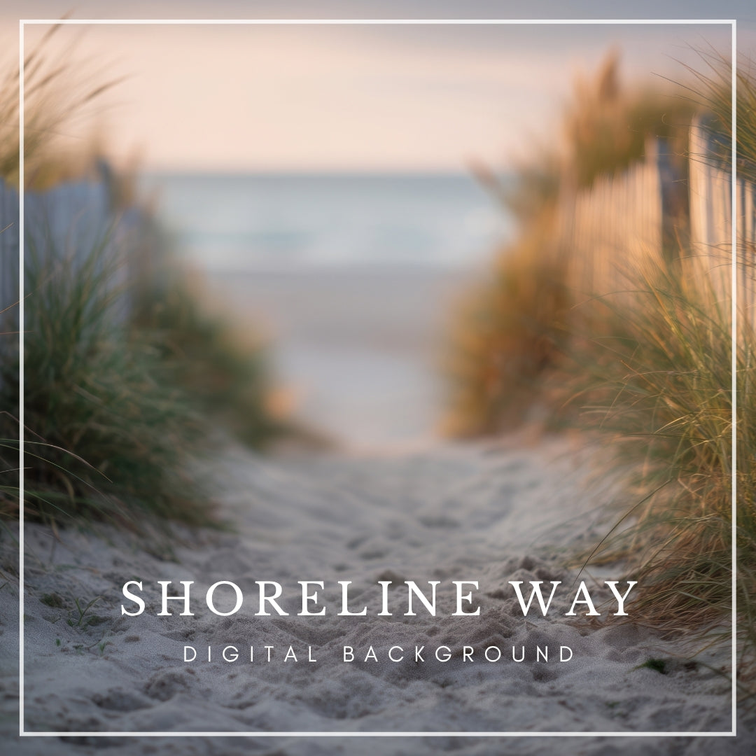 Digital backdrop of a sandy beach pathway with tall grass and a wooden fence leading to the ocean, inspired by Cape Cod and Outer Banks coastal scenes.
