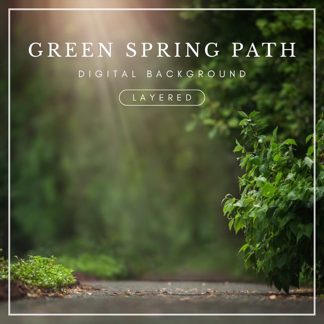Digital background of a sunlit garden path surrounded by vibrant green spring foliage, ideal for dreamy photo composites and portrait editing.