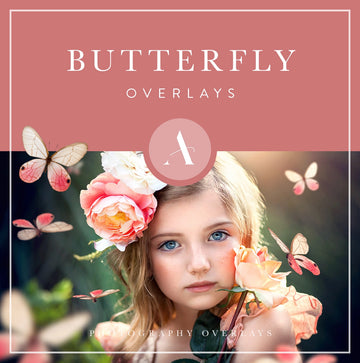butterfly overlays for photos and photography