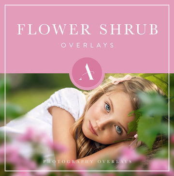 flower shrub overlays for photoshop, photo editing, digital photography and photographers