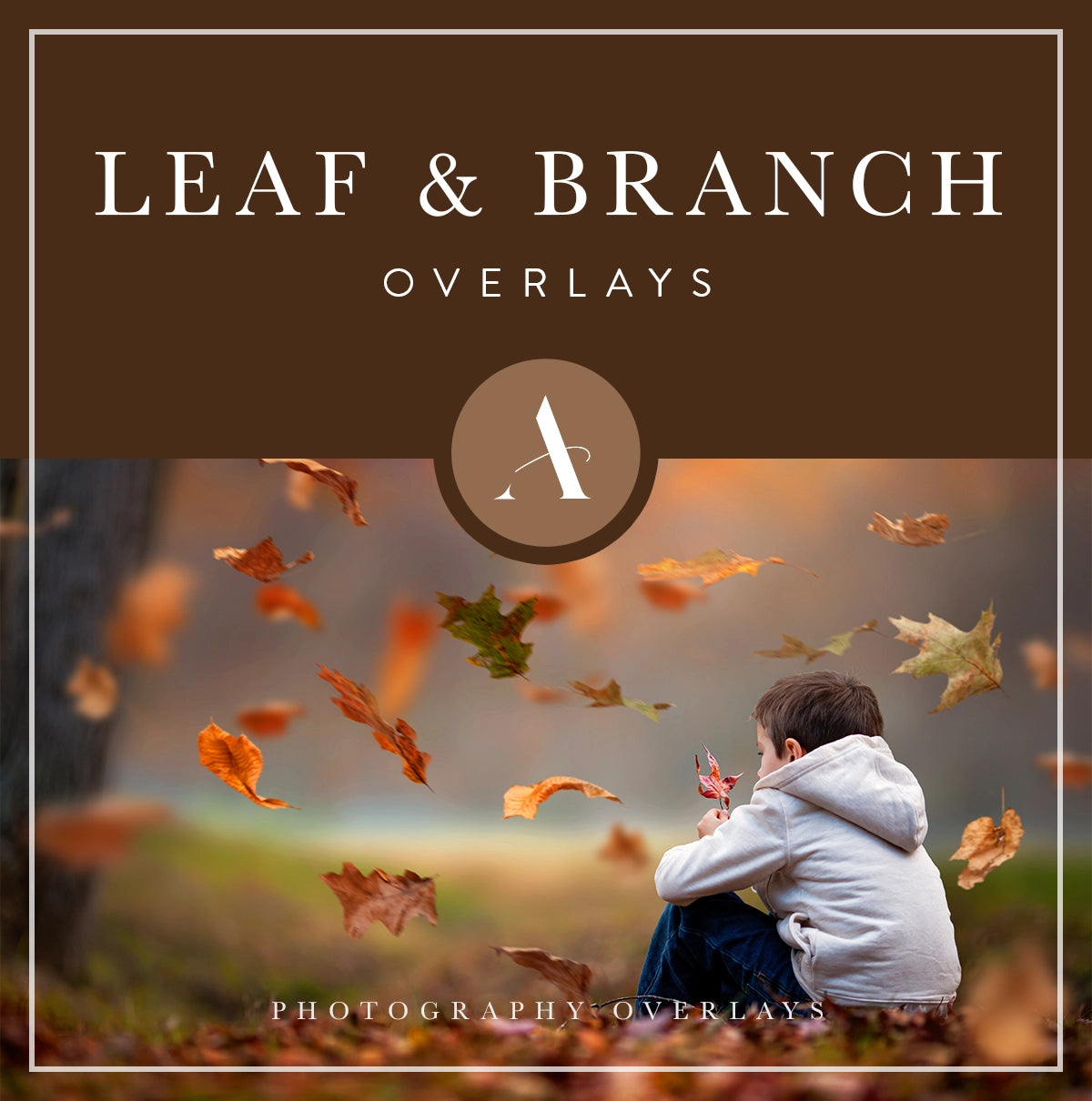 leaf and branch overlays for photoshop, photo editing, digital photography and photographers
