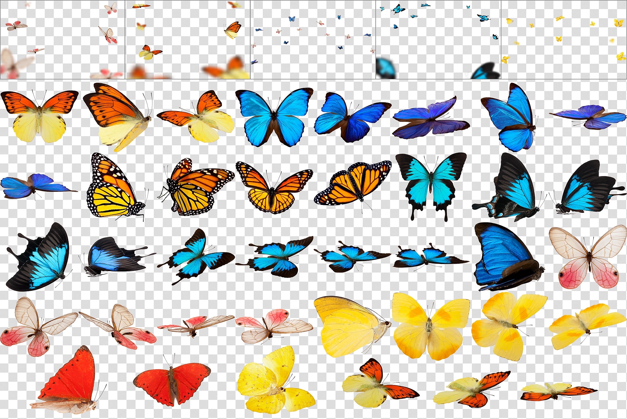 Butterfly Overlays for Photographers