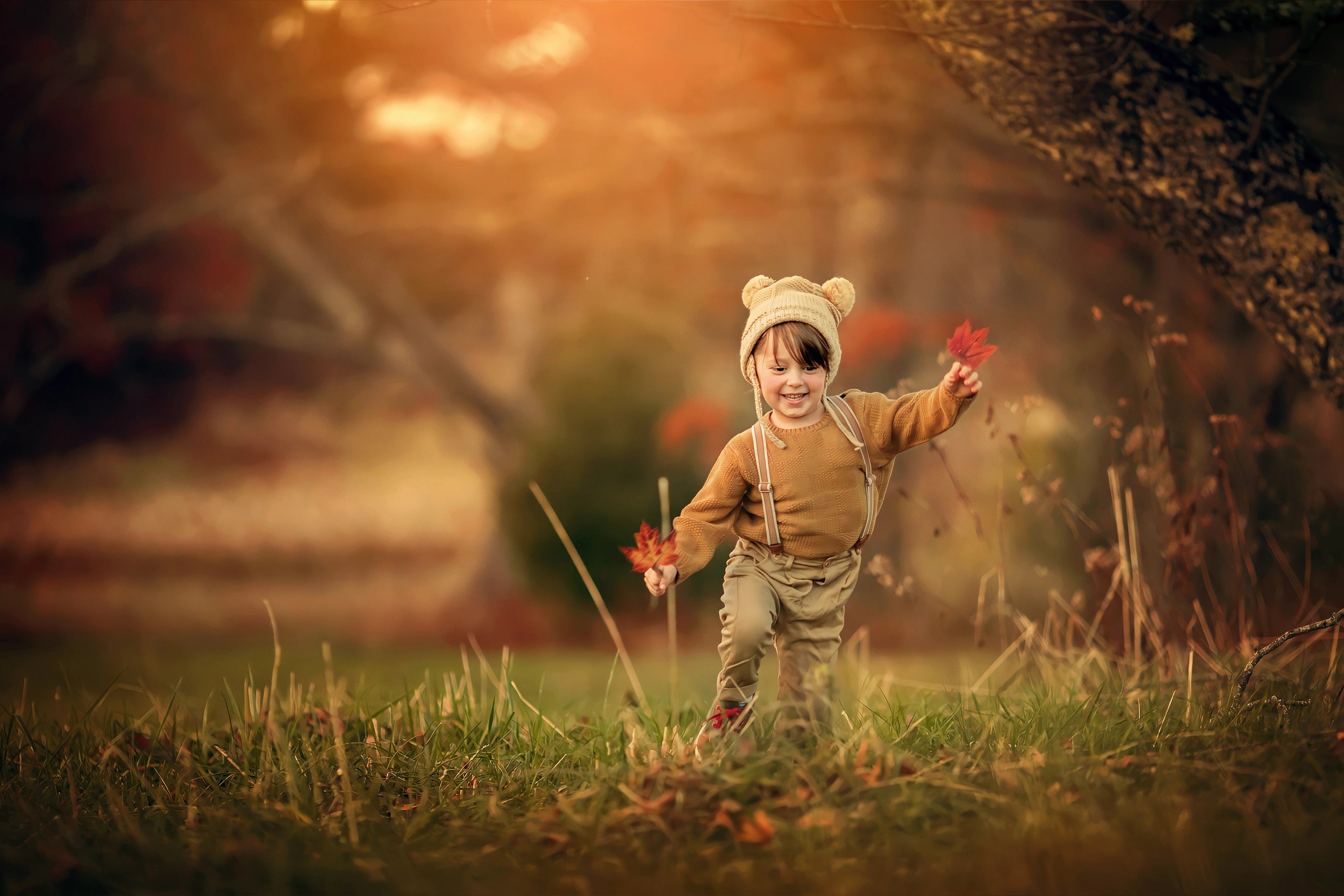Photoshop Actions for Photographers Autumn Fall