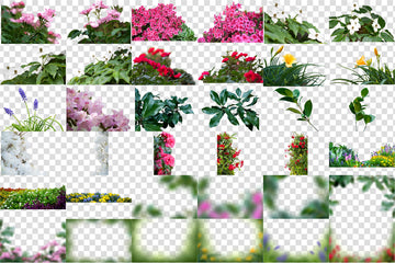 Flower Shrub Overlays for Photoshop