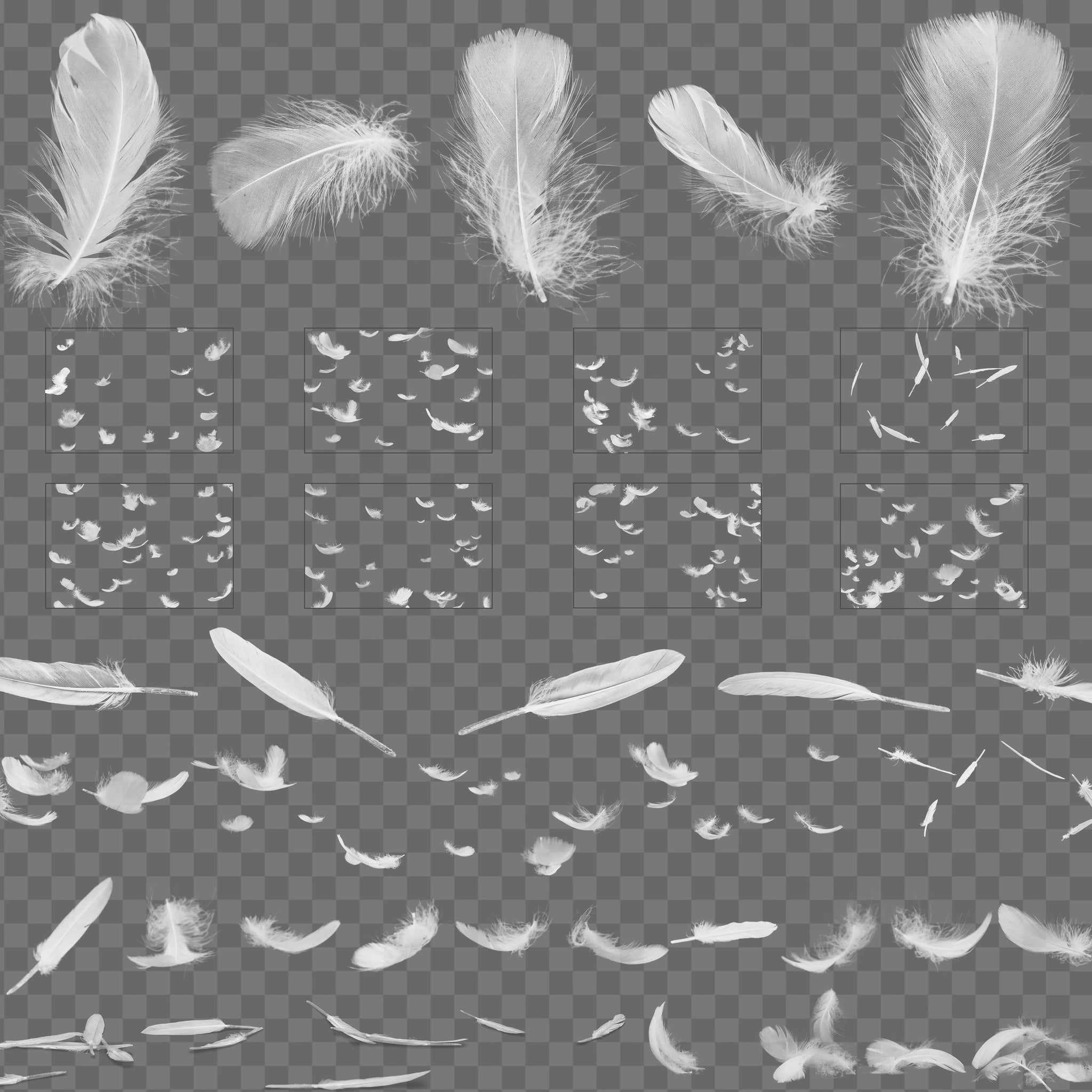 Feather Overlays for Photo Editing