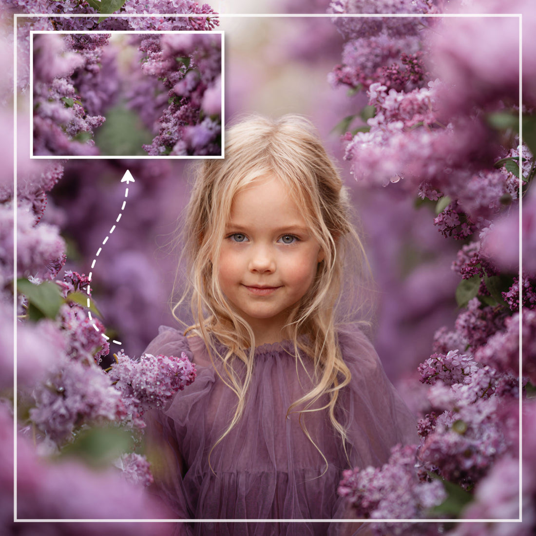Floral Blooms Bundle