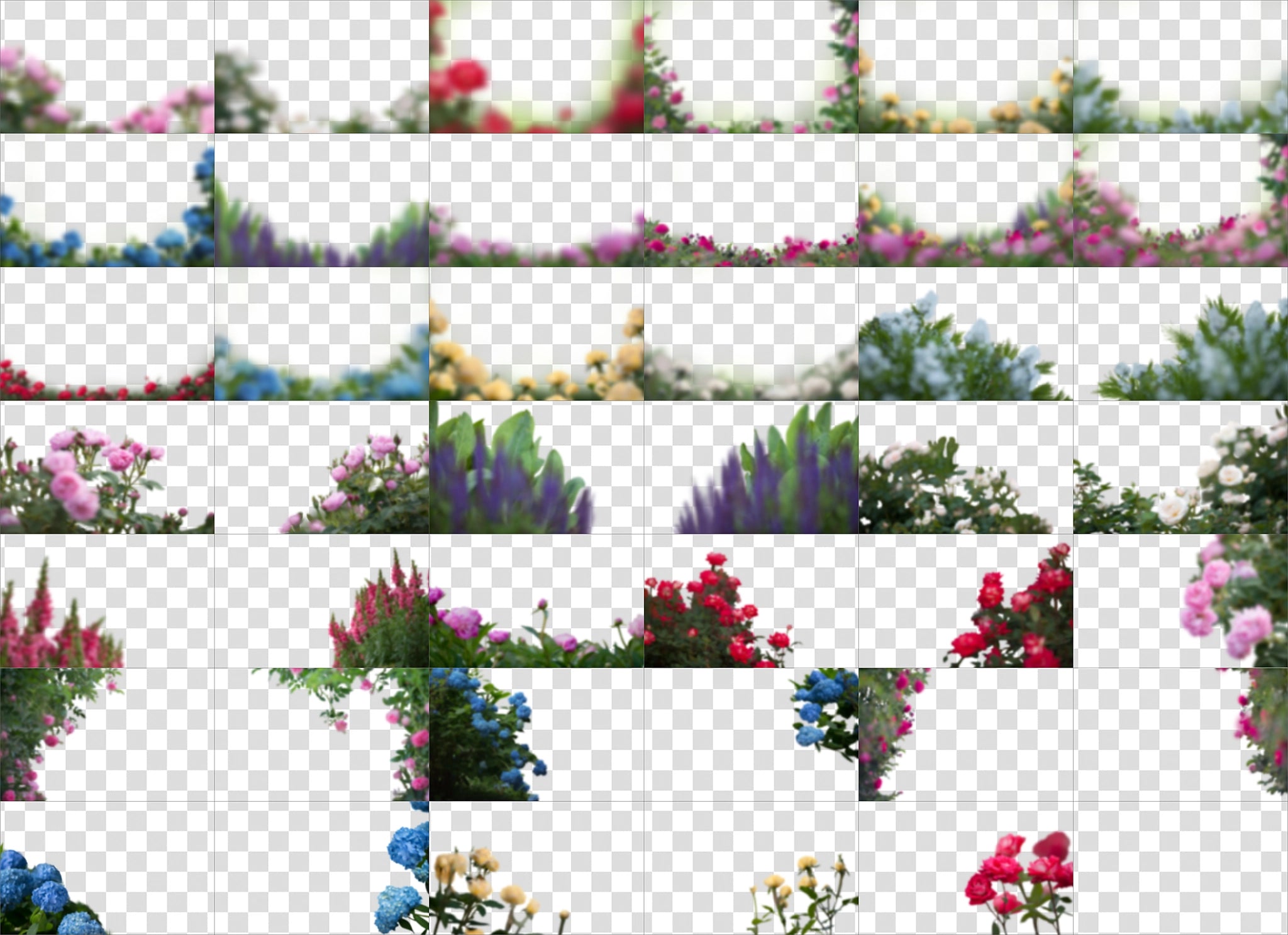 Peek Through Flower Overlays for Photoshop