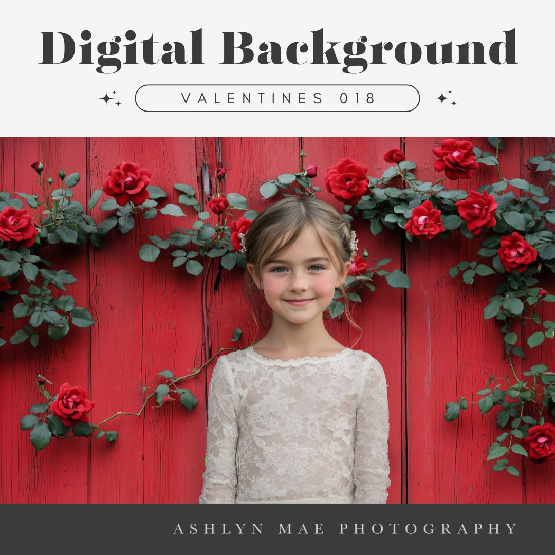 Valentines Digital Background 018