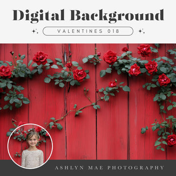 Valentines Digital Background 018