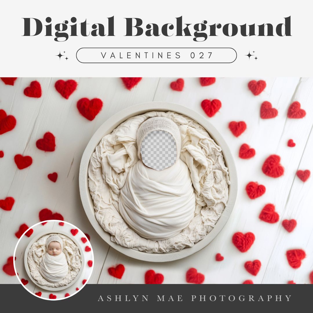 Valentines Digital Background 027