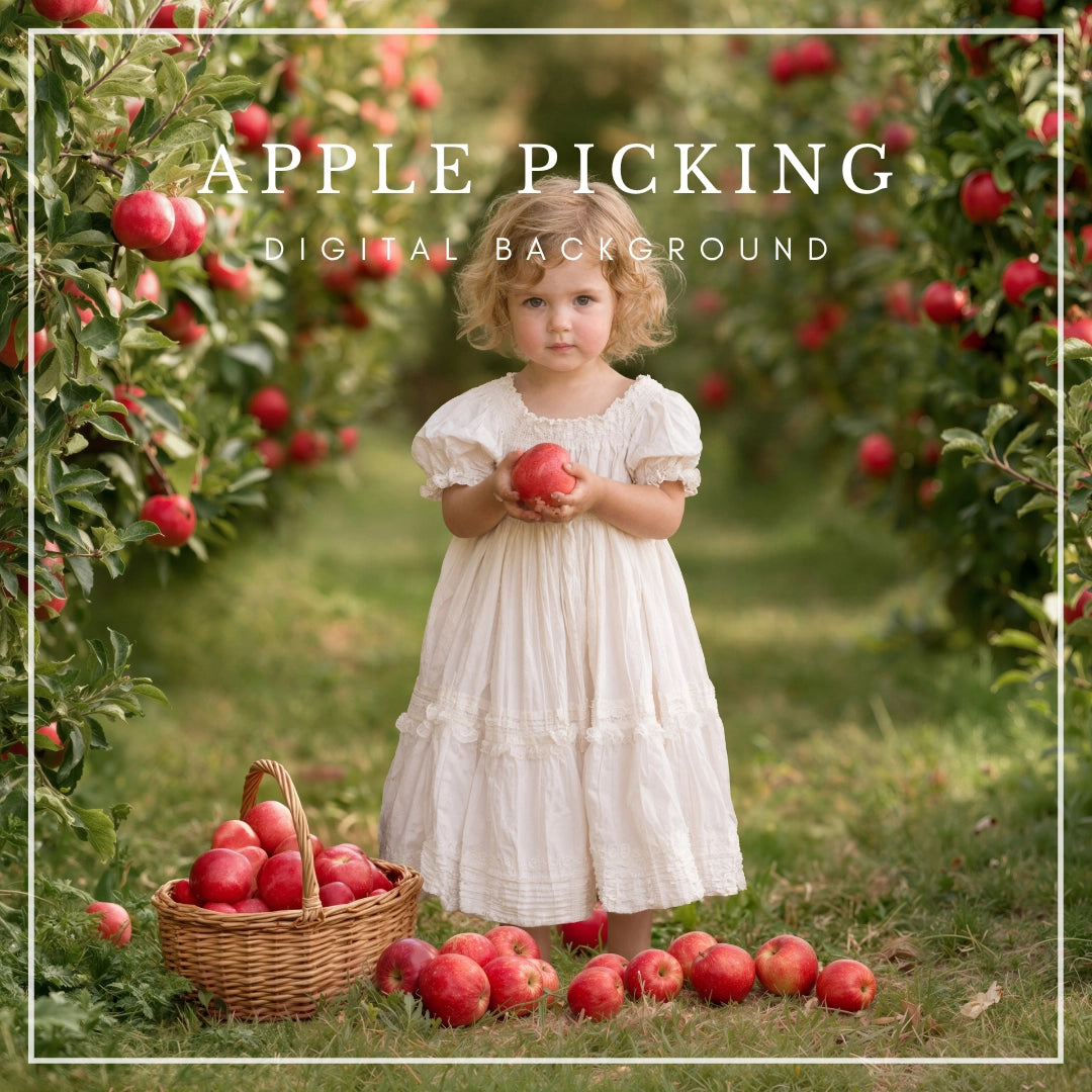 Autumn apple orchard digital background with red apples, lush green trees, and a rustic harvest basket along a grassy pathway, perfect for fall portraits, children's photography, and seasonal photo composites.