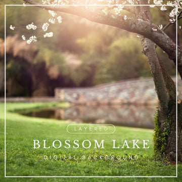 Digital background of a blossoming tree beside a calm lake with soft sunlight and a stone bridge, ideal for spring photo composites.