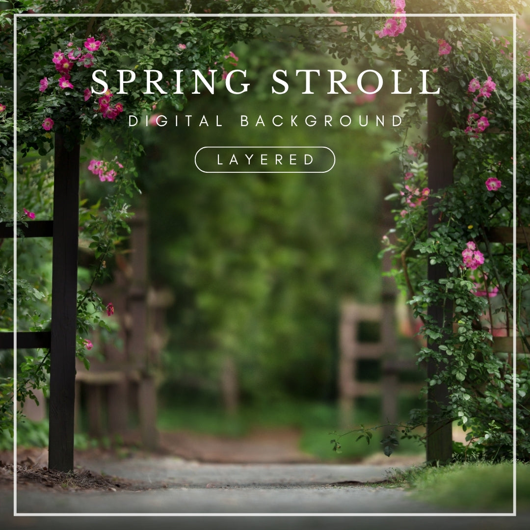 Digital background of a garden path framed by a floral archway with pink climbing roses and greenery, perfect for spring portraits and composites.