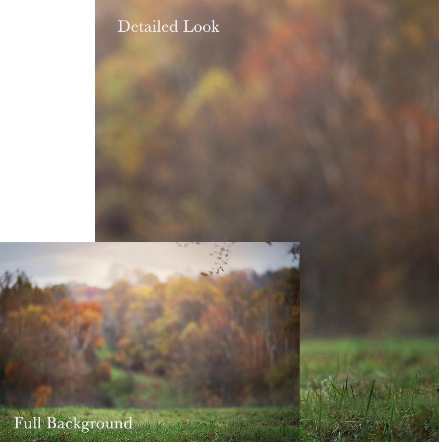 Autumn Digital Background