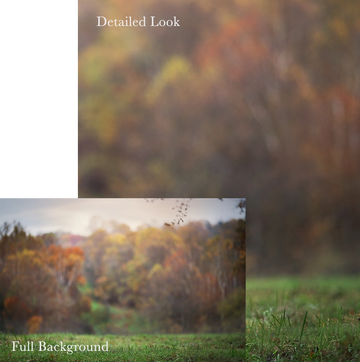 Autumn Digital Background