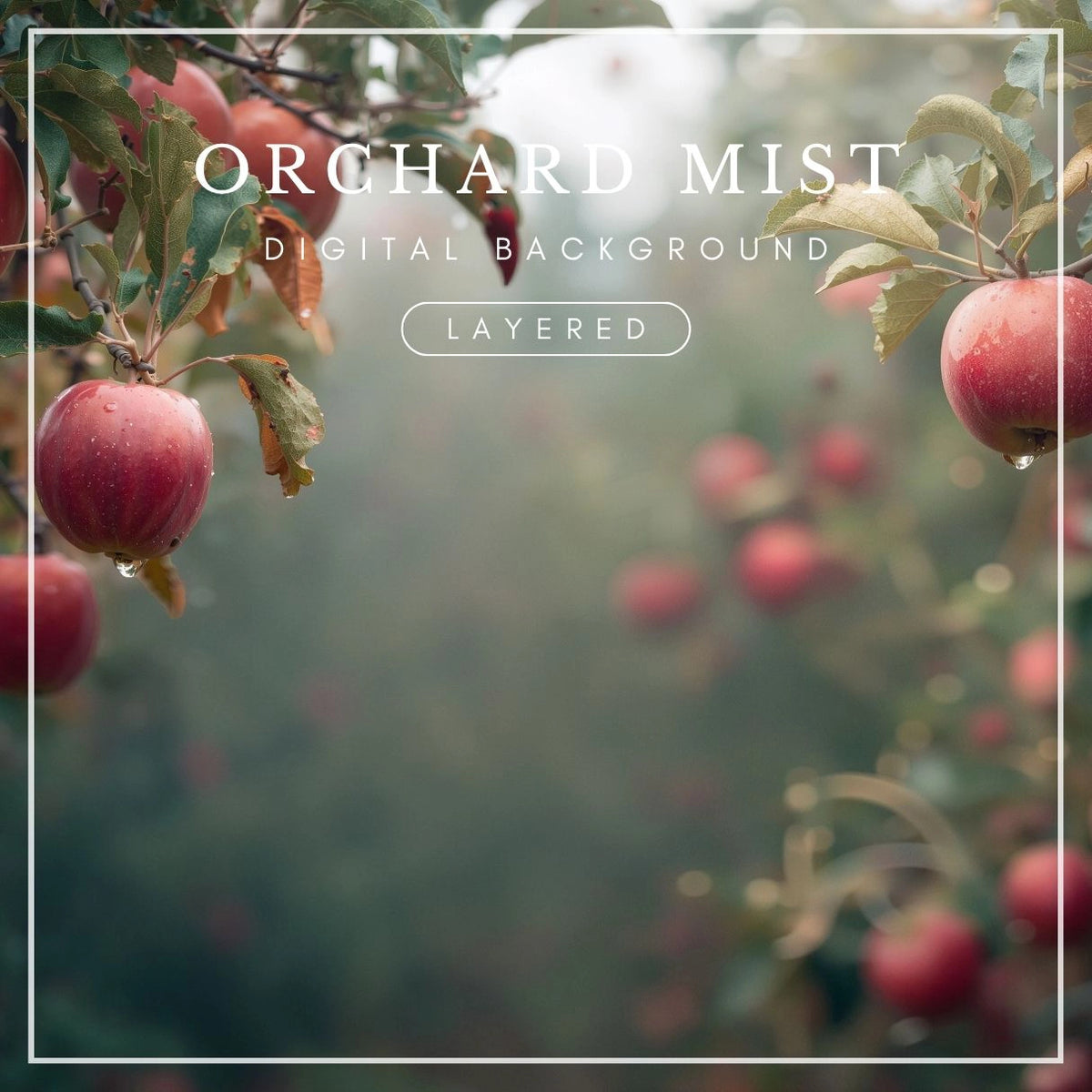 Digital background featuring red apples hanging from leafy tree branches, framing a softly blurred green orchard with misty light and delicate bokeh.