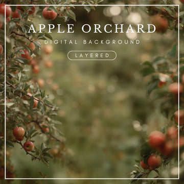 Digital background of red apples hanging from leafy apple tree branches framing a softly blurred orchard, ideal for fall portrait photography and photo composites.