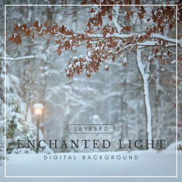 Digital background of a snowy forest path with a glowing lamppost and snow-covered branches, ideal for winter photo composites and magical scenes.