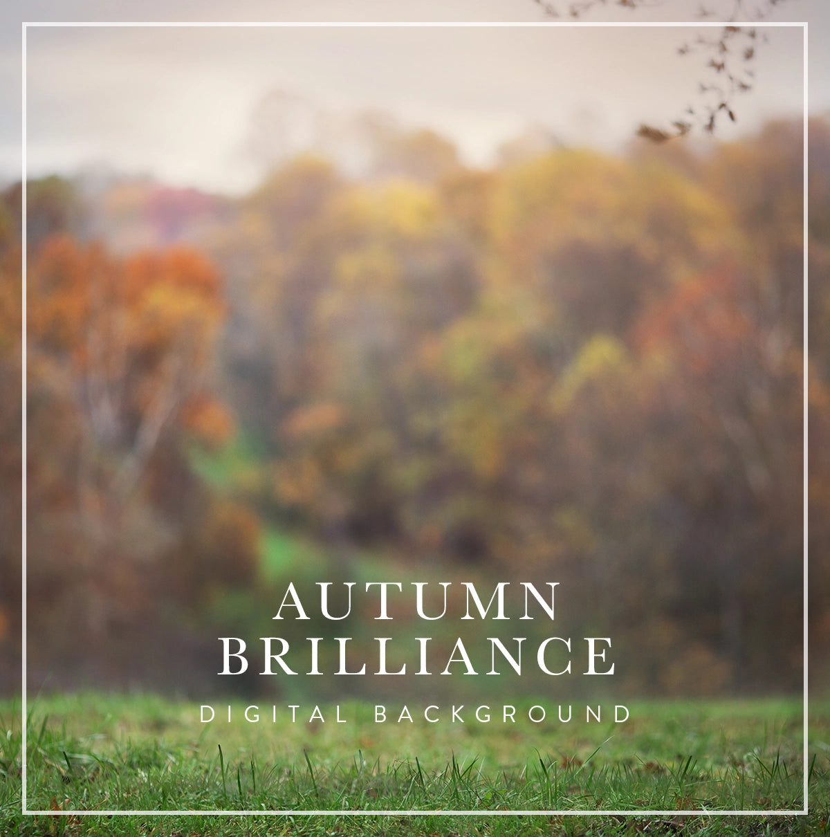 Autumn Brilliance - Digital Background (Layered)