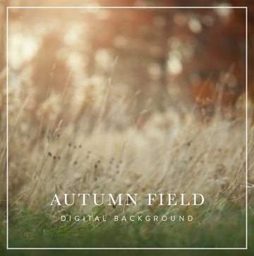 Autumn Field - Digital Background (Layered)