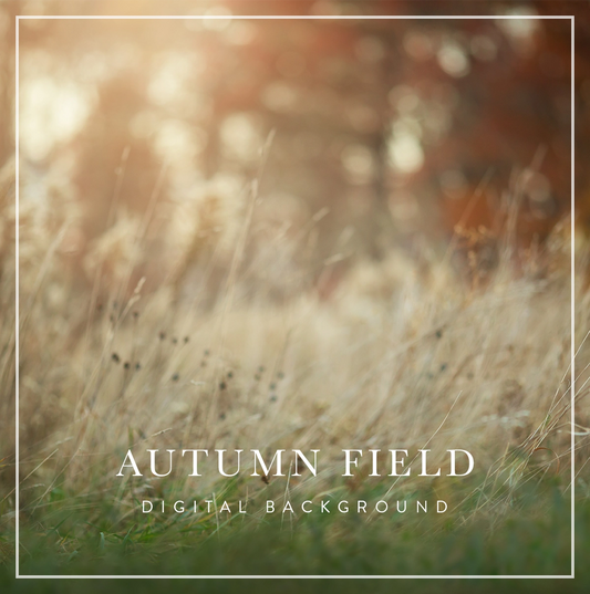 autumn field scene digital background for photographers