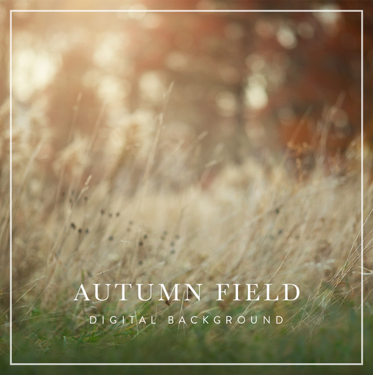 Digital Backgrounds for Photographers