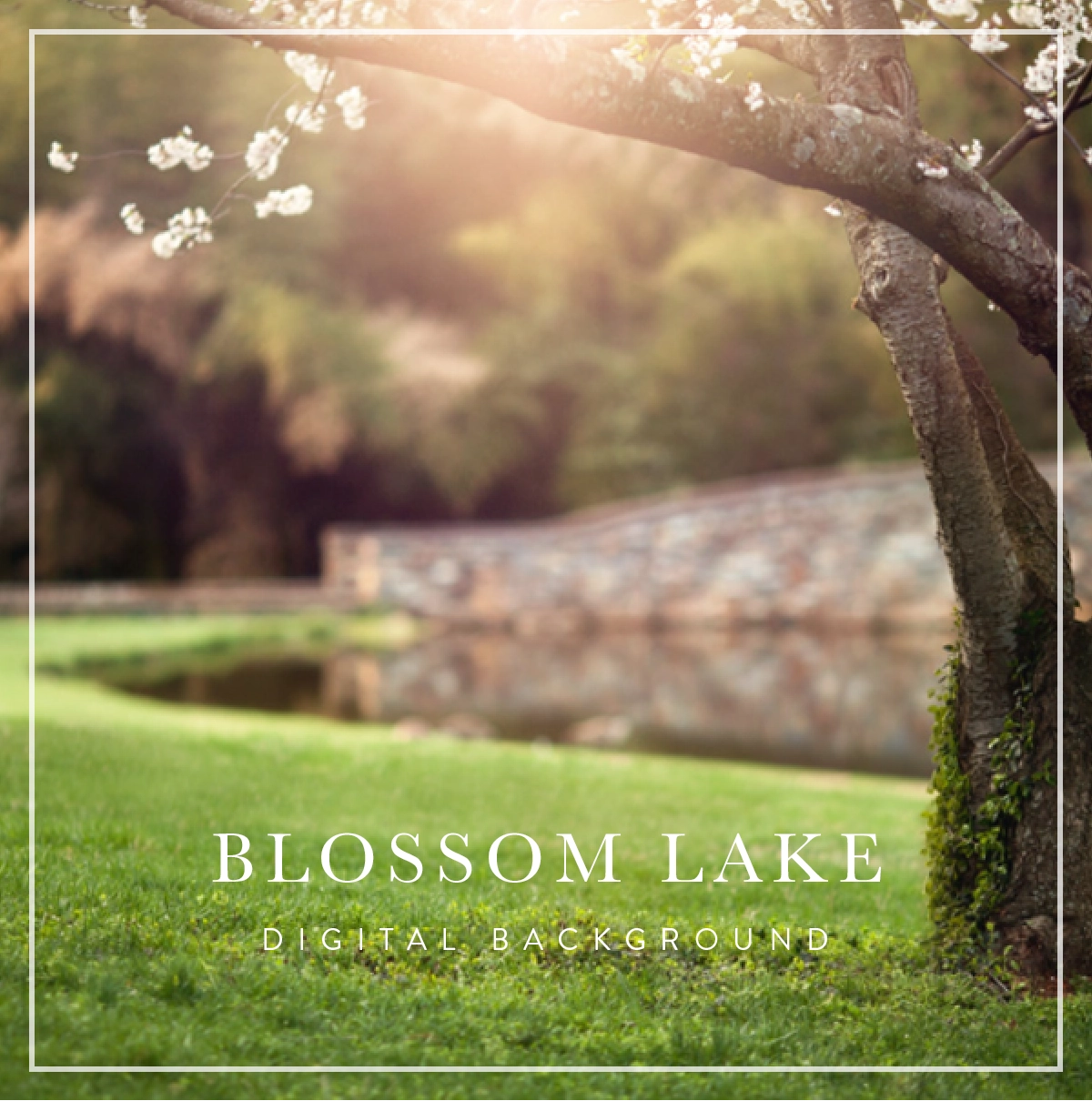 Blossom Lake - Digital Background (Layered)