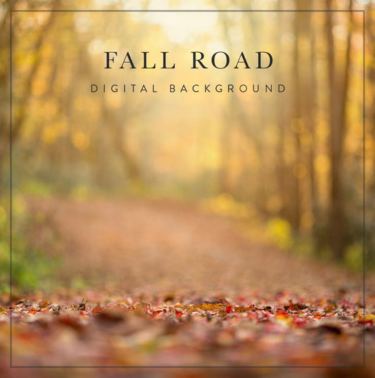 leafy autumn road scene digital background for photographers
