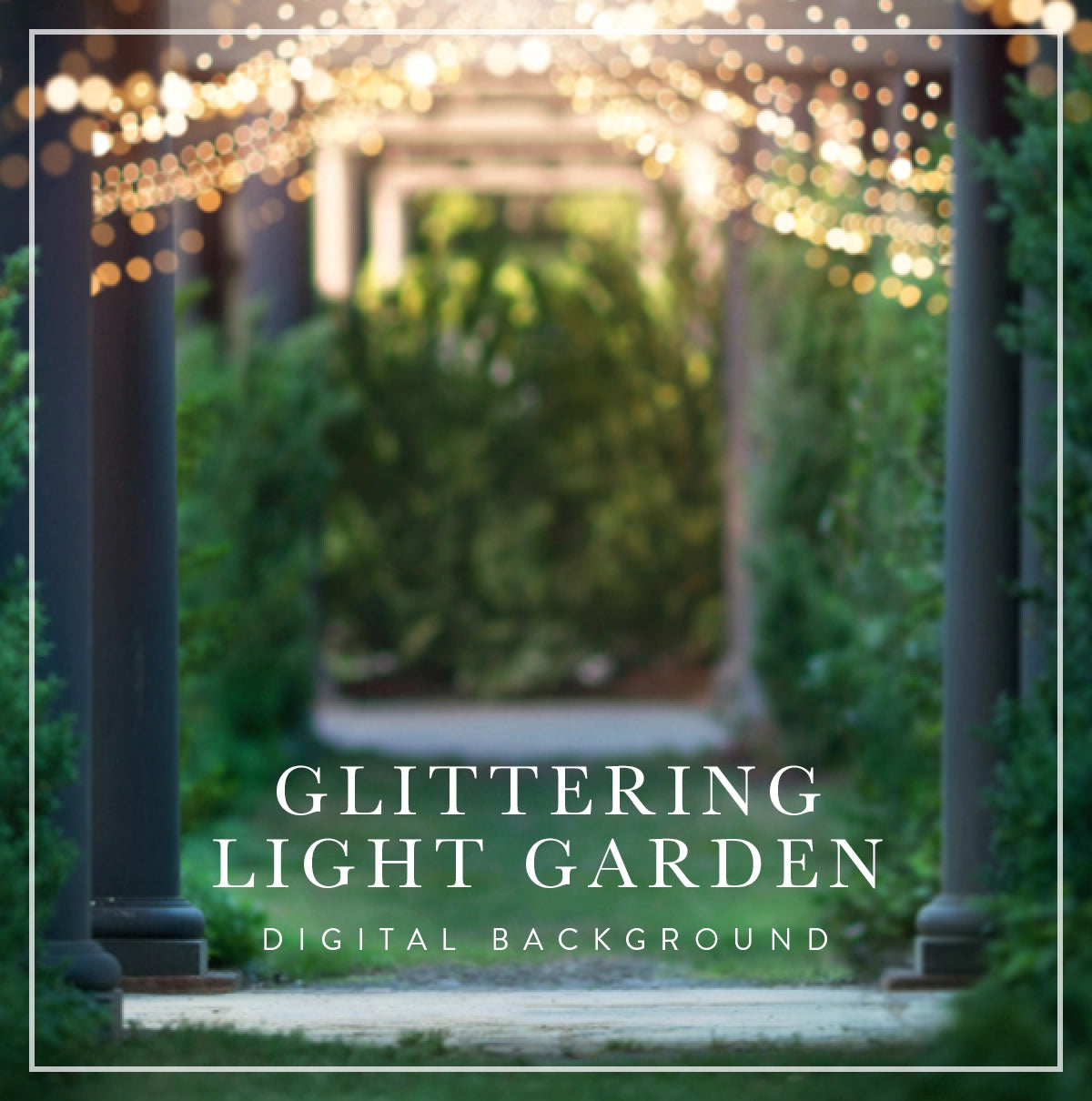 string light columns garden digital background for photographers