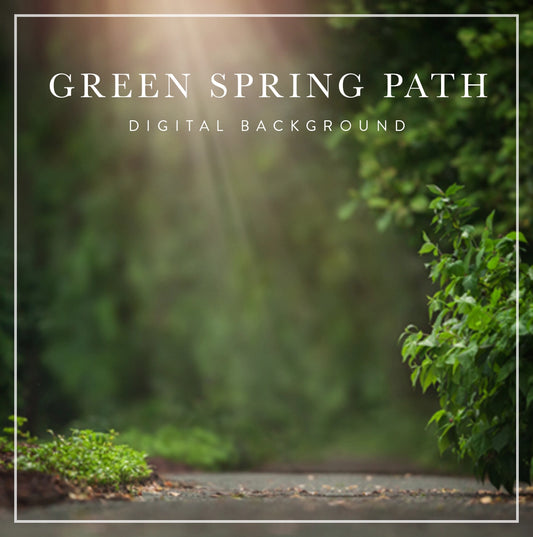 green spring path digital background for photographers