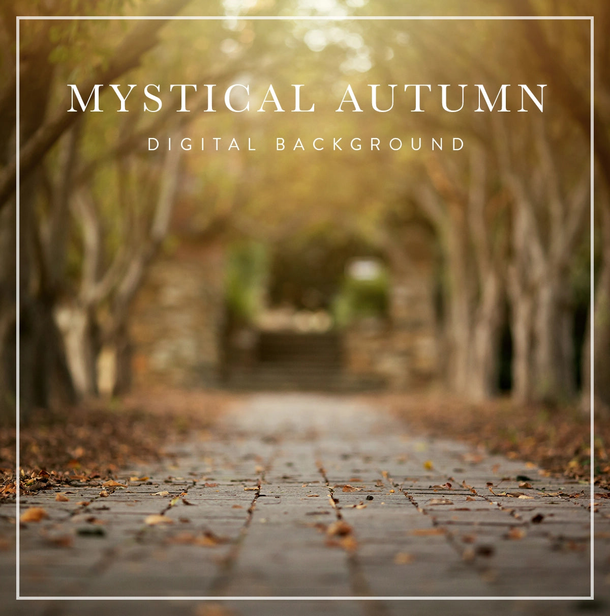autumn cobblestone path scene digital background for photographers