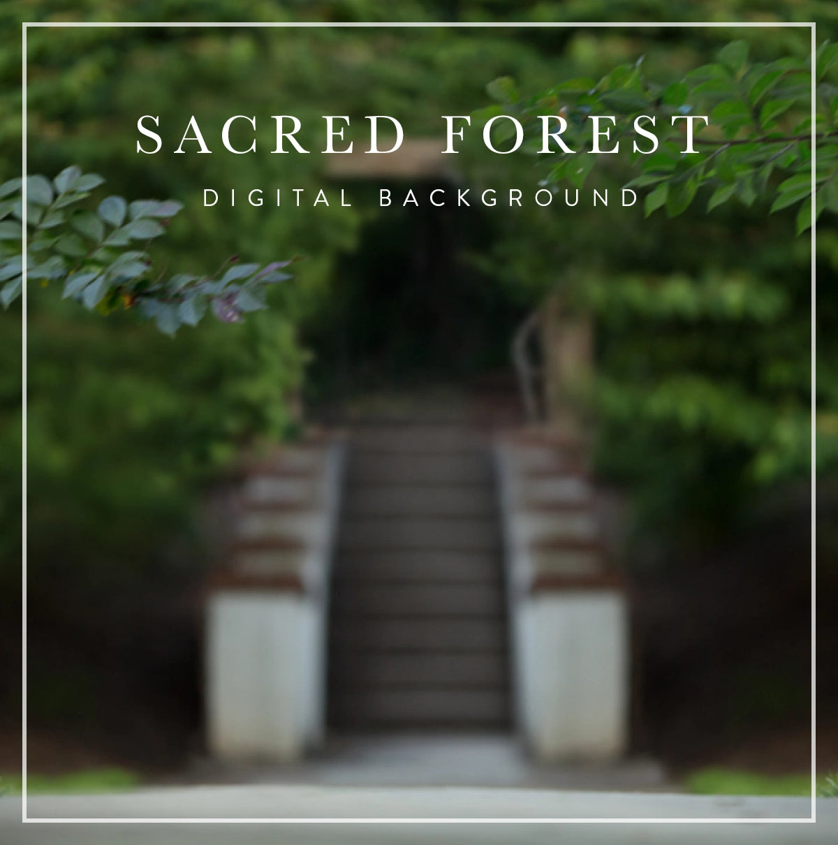 Sacred Forest - Digital Background (Layered)